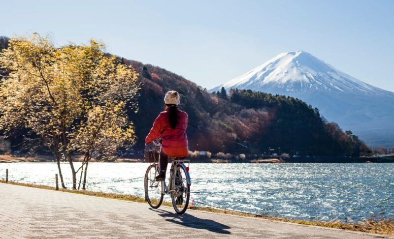 From Tokyo: Mount Fuji Instagram Spots Private Day Tour - Key Points