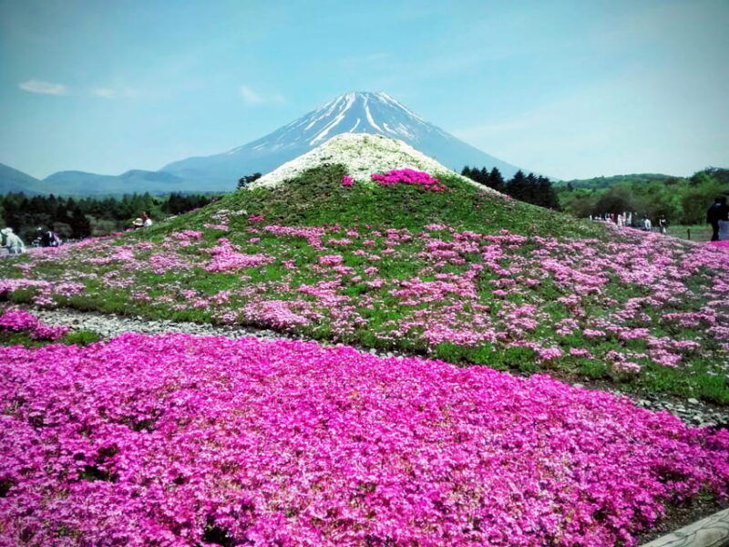 From Tokyo: Mount Fuji Instagram Spots Private Day Tour - Pickup Locations