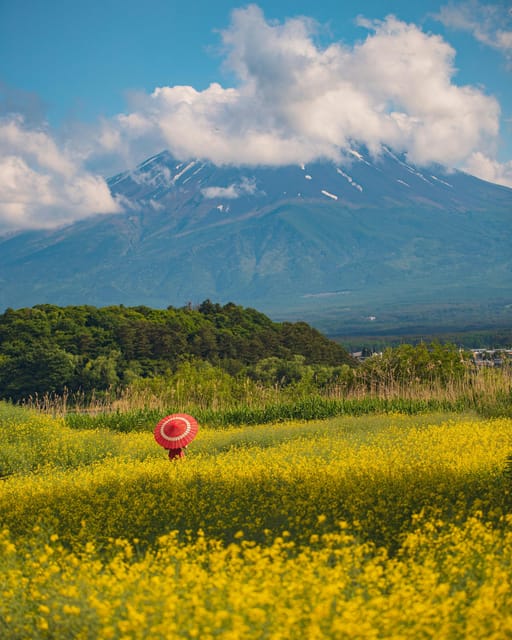From Tokyo: Mount Fuji Instagram Spots Private Day Tour - Transportation and Accessibility