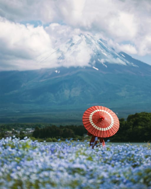 From Tokyo: Mount Fuji Instagram Spots Private Day Tour - Important Information
