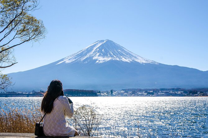 From Tokyo Mount Fuji, Kamakura, Lake Ashi and Oshino Hakkai - Key Points