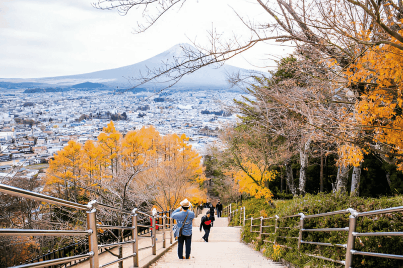 From Tokyo: Mount Fuji or Hakone Customized Day Trip - Itinerary Options