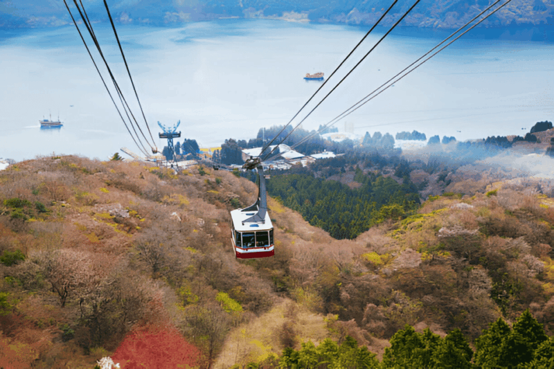 From Tokyo: Mount Fuji or Hakone Customized Day Trip - Hakone Serenity