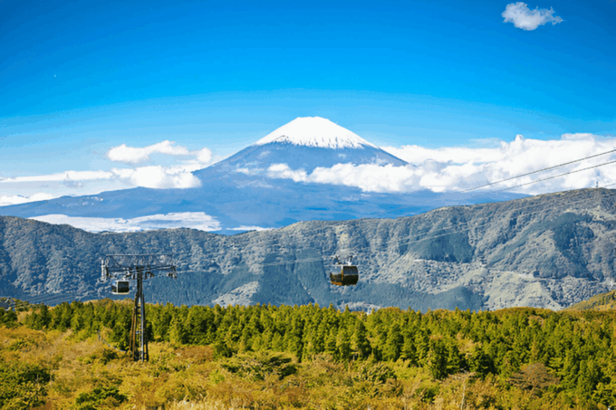 From Tokyo: Mount Fuji or Hakone Customized Day Trip - What to Bring and Know Before You Go