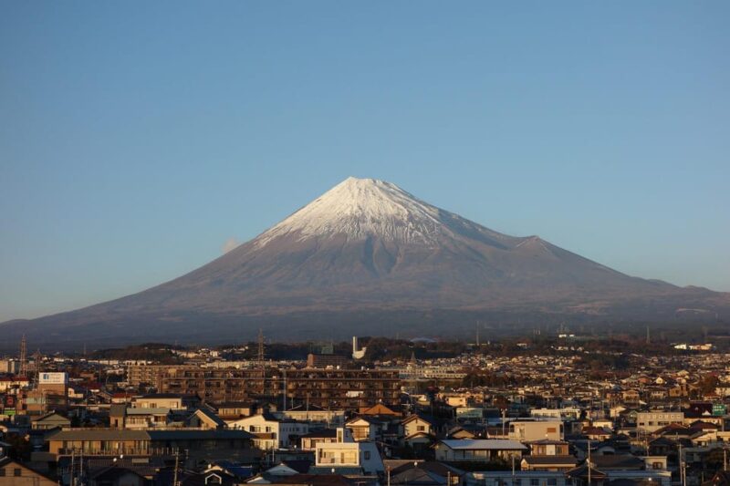 From Tokyo: Mount Fuji or Hakone+Gotemba Outlet Day Tour 10H - Transportation and Services