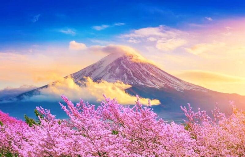 From Tokyo: Mount Fuji, Oshino Hakkai, & Hot Springs Tour - Itinerary Highlights