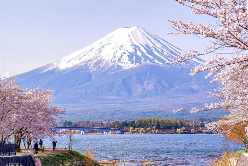 From Tokyo: Mount Fuji, Oshino Hakkai, & Hot Springs Tour - Transportation and Logistics