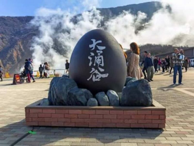 From Tokyo: Mount Fuji Private Customizable Tour with Guide - Key Points