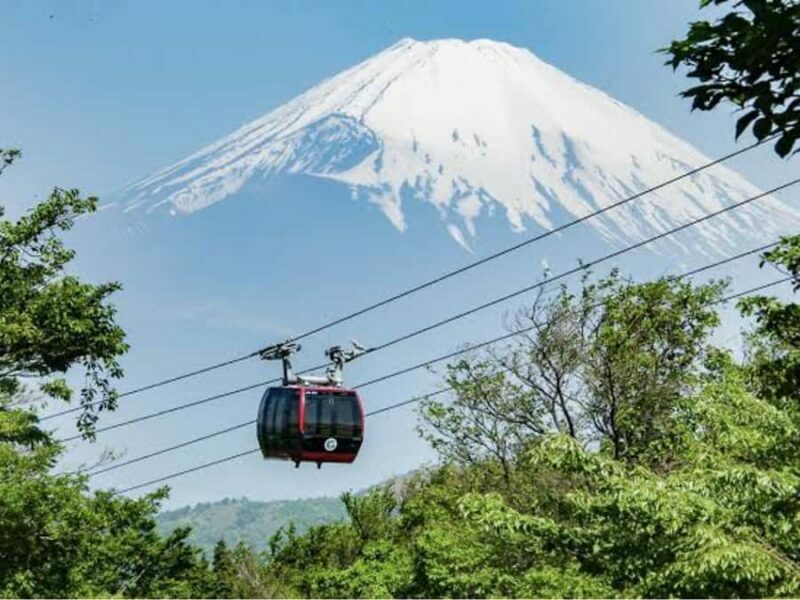 From Tokyo: Mount Fuji Private Customizable Tour with Guide - Who Is This Tour Best For?