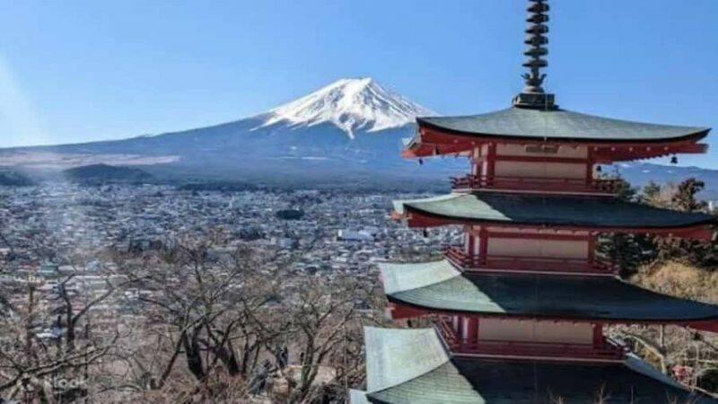 From Tokyo: Mount Fuji Private Customizable Tour with Guide - Final Thoughts
