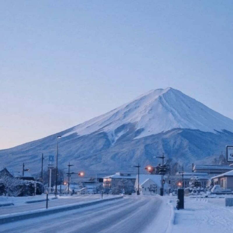 From Tokyo Mount Fuji Private Customizable Tour with Guide - Introduction: Is This Tour Right for You?