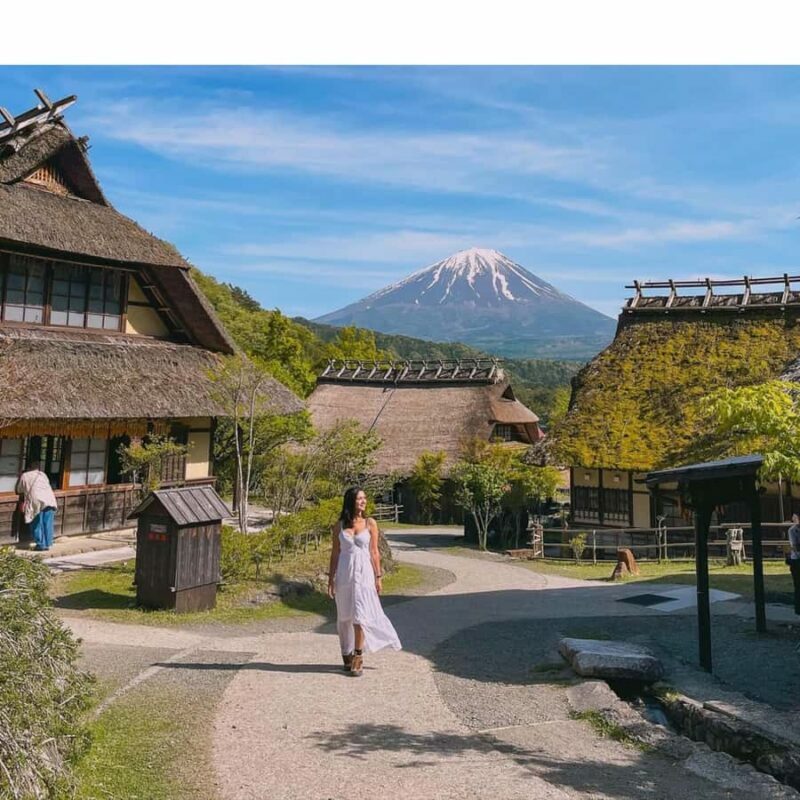 From Tokyo Mount Fuji Private Customizable Tour with Guide - Who Should Consider This Tour?