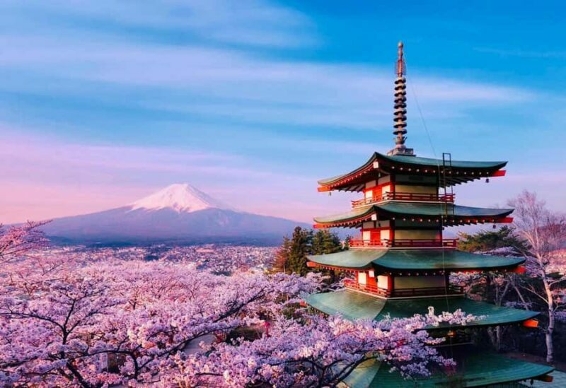 From Tokyo: Mount Fuji Private Customized Tour With Guide - An Honest Look at the Experience