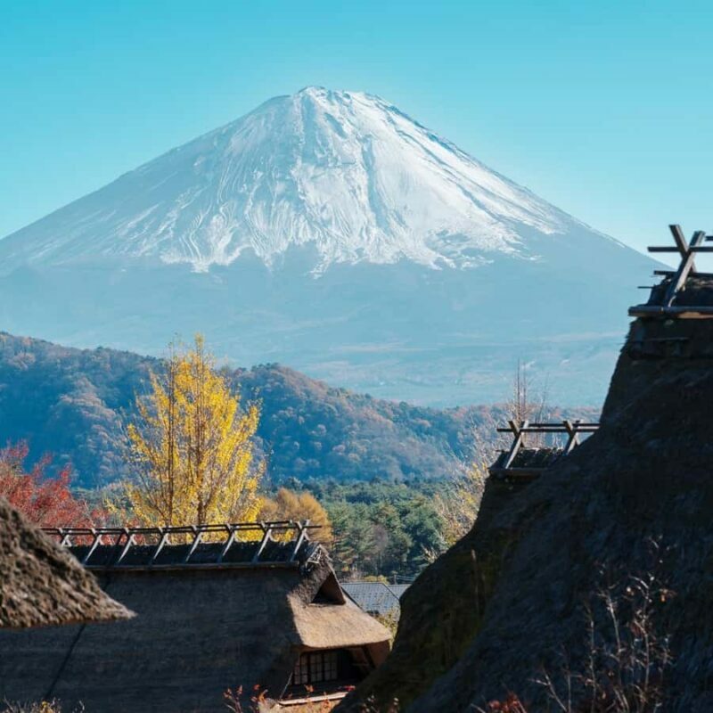 From Tokyo: Mount Fuji Private Customized Tour With Guide - Practical Details