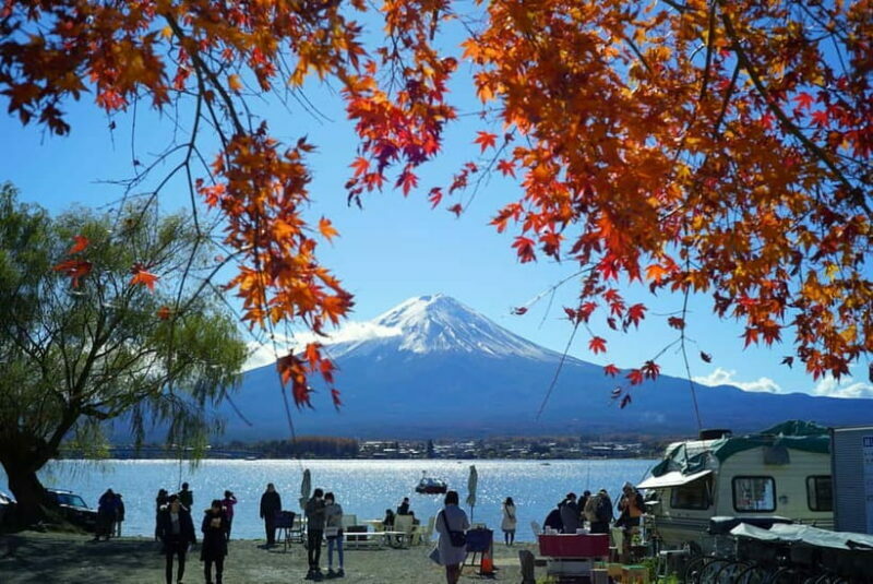 From Tokyo: Mount Fuji Private Day Tour Fully Customizable - What Makes This Tour Special?