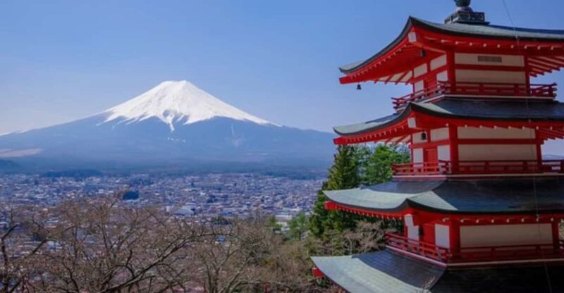 From Tokyo : Mount Fuji Private Day Tour With English Driver - Visiting Mount Fuji 5th Station