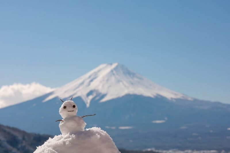 From Tokyo: Mount Fuji Private Day Trip With Driver - Transportation and Accessibility