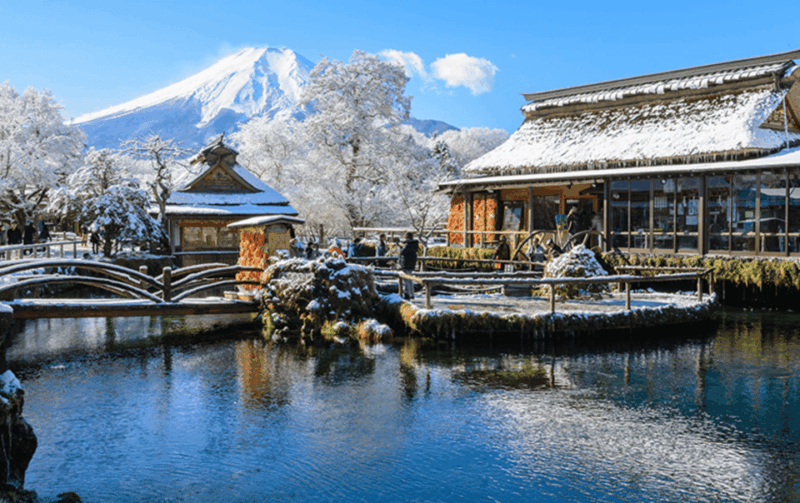From Tokyo: Mount Fuji Private Day Trip With Driver - Visiting the Kitaguchi Hongu Fuji Sengen Shrine