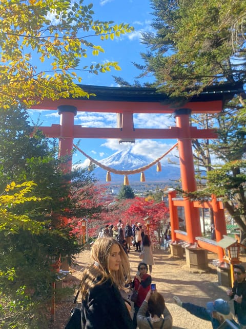 From Tokyo: Mount Fuji Private Day Trip With Pickup - Itinerary Highlights