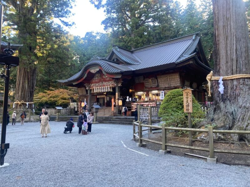 From Tokyo: Mount Fuji Private Day Trip With Pickup - Experience and Flexibility
