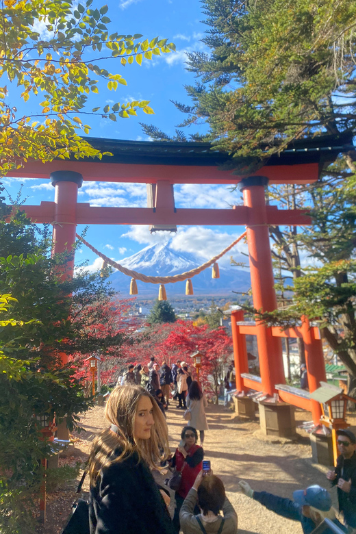 From Tokyo: Mount Fuji Private Day Trip With Pickup - Pickup and Drop-off Locations