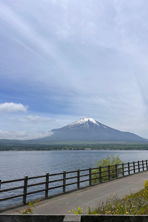 From Tokyo: Mount Fuji Private Full-Day Tour - Transportation and Inclusions