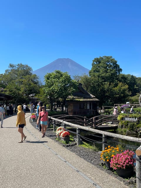 From Tokyo: Mount Fuji Private Tour English Speaking Driver - Included Features and Amenities