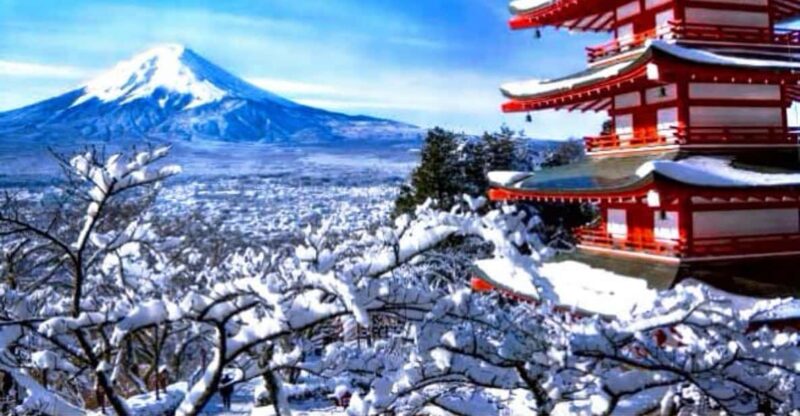 From Tokyo: Mount Fuji Private Tour English Speaking Driver - Booking and Reservation Process