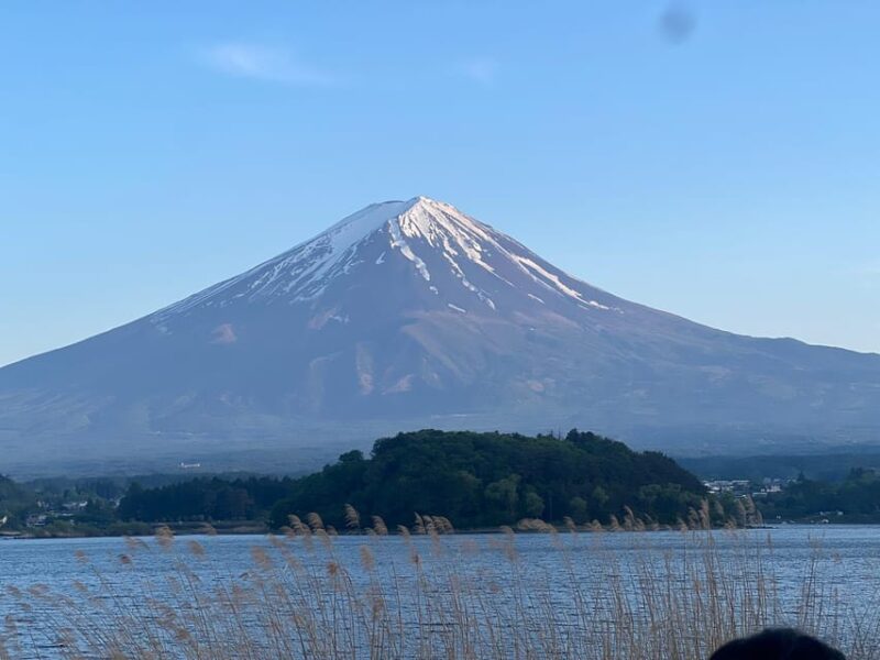 From Tokyo: Mount Fuji Private Tour With a Driver/Guide - Itinerary and Highlights