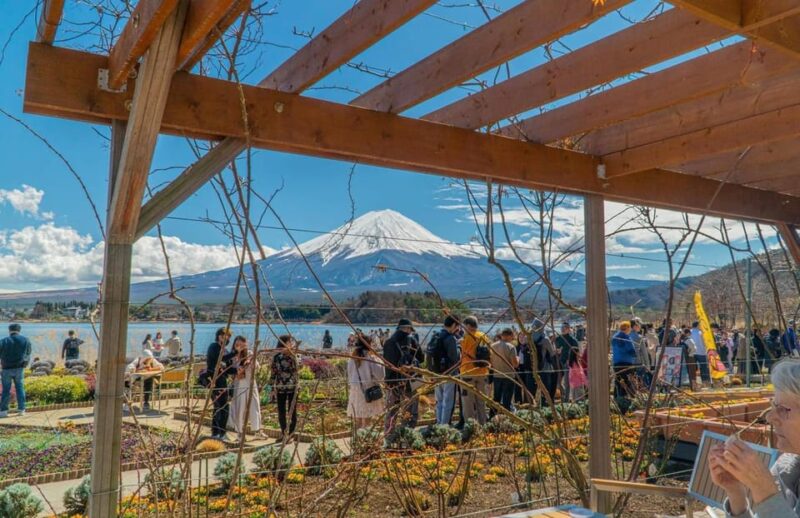 From Tokyo: Mount Fuji Private Tour With a Driver/Guide - Expert Guidance and Customization