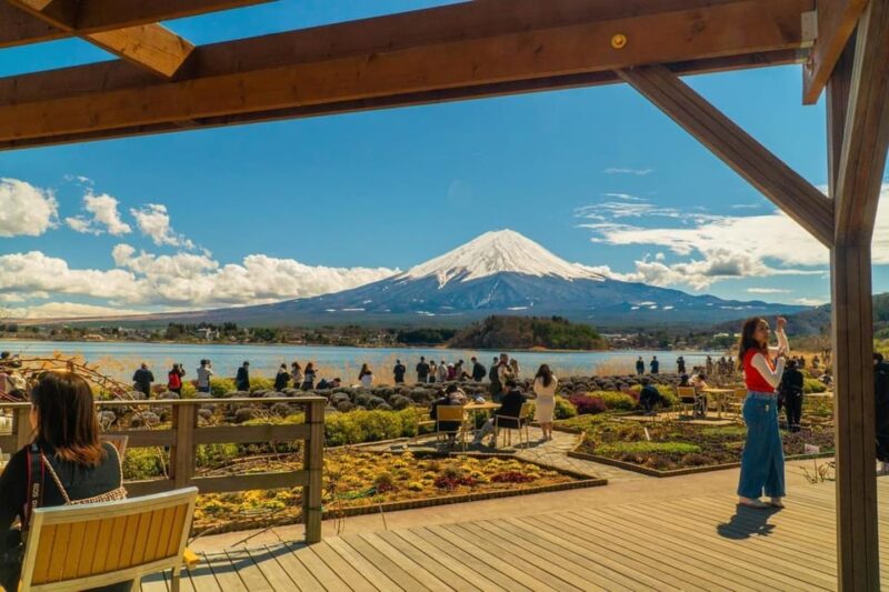 From Tokyo: Mount Fuji Private Tour With a Driver/Guide - Customer Feedback and Testimonials