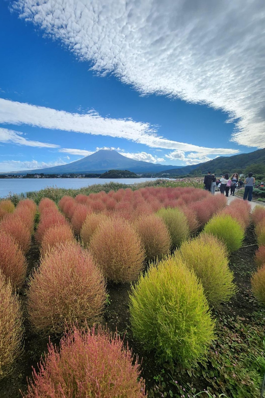From Tokyo: Mount Fuji Private Tour With Driver - Inclusions and Additional Fees