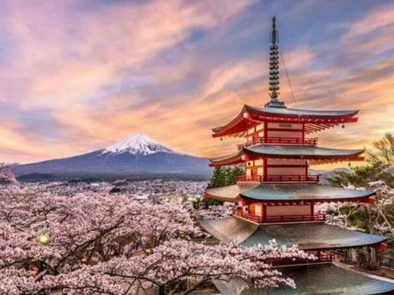 From Tokyo: Mount Fuji Private Tour with English Guide - The Itinerary Explained