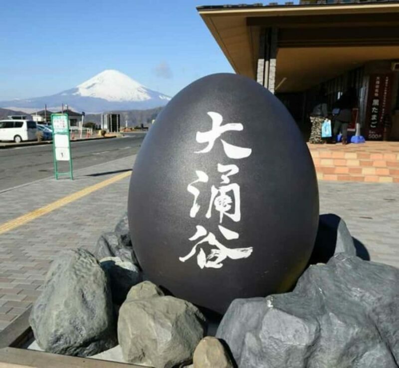 From Tokyo: Mount Fuji Private Tour with English Guide - The Value of a Private, Customizable Tour