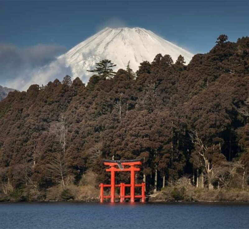 From Tokyo: Mount Fuji Private Tour with English Guide - Who Should Consider This Tour?