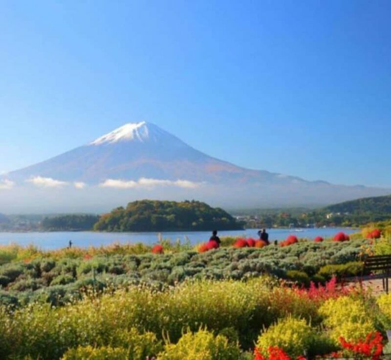From Tokyo: Mount Fuji Private Tour with English Guide - Frequently Asked Questions