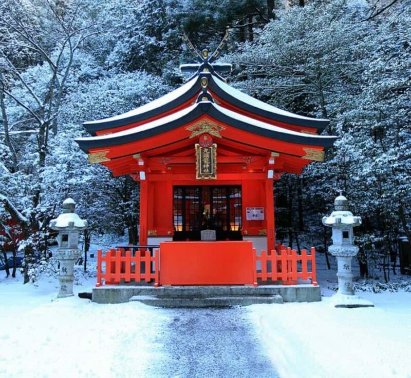 From Tokyo: Mount Fuji Private Tour with English Guide - Final Thoughts