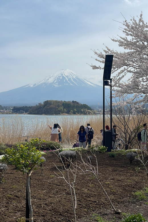 From Tokyo: Mount Fuji Private Tour With English Speaking Dr - Experience and Activities