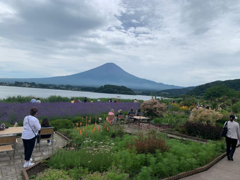 From Tokyo: Mount Fuji Sightseeing Private Group Tour - Tour Restrictions