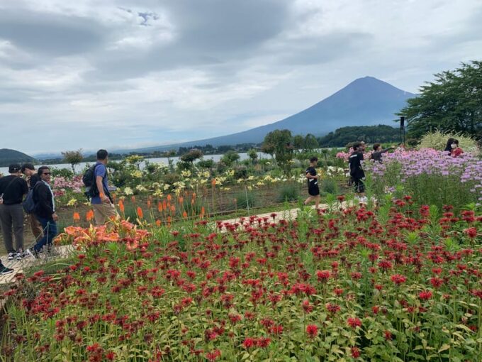 From Tokyo: Mount Fuji Sightseeing Private Group Tour - Discounts Available