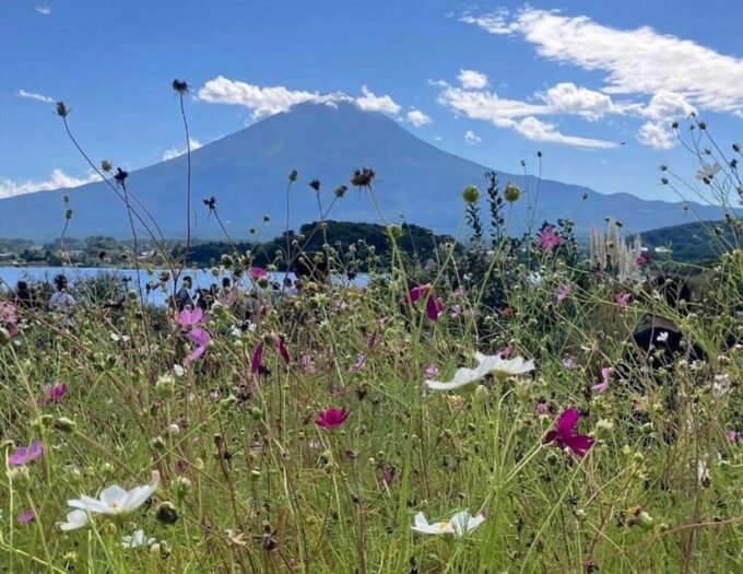 From Tokyo: Mount Fuji Sightseeing Private Group Tour - Private Group Experience