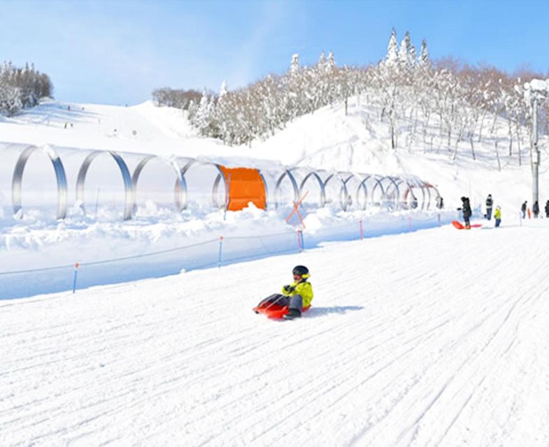 From Tokyo: Mount Fuji Skiing and Hot Springs Day Tour - Key Points