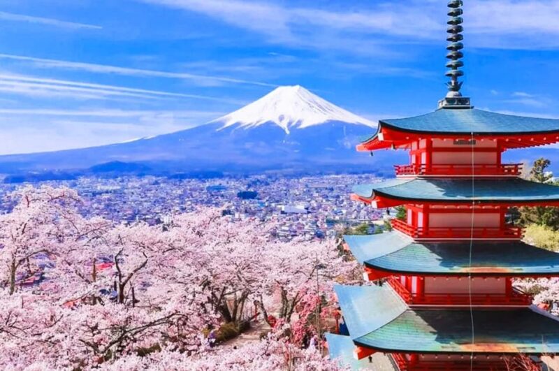 From Tokyo: Mt. Fuji 5th, Oshino Hakkai, Onsen Full-Day Trip - Key Points