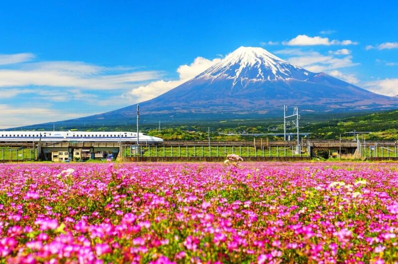 From Tokyo: Mt. Fuji 5th, Oshino Hakkai, Onsen Full-Day Trip - Itinerary Highlights