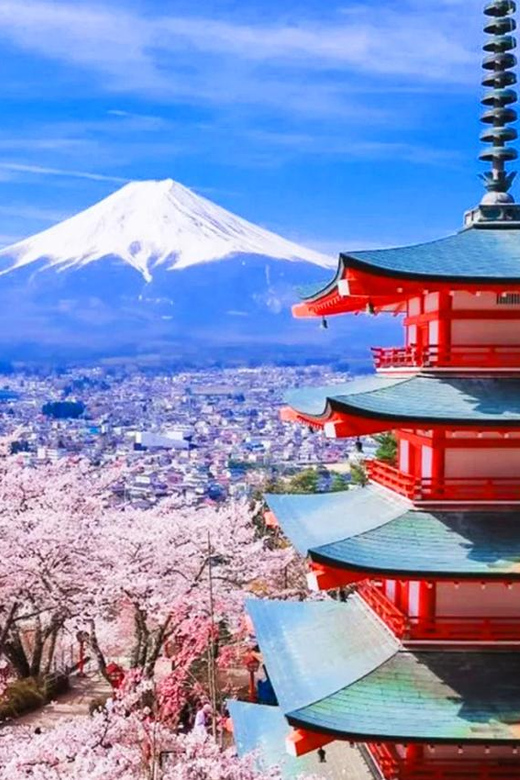 From Tokyo: Mt. Fuji 5th, Oshino Hakkai, Onsen Full-Day Trip - Important Information and Considerations