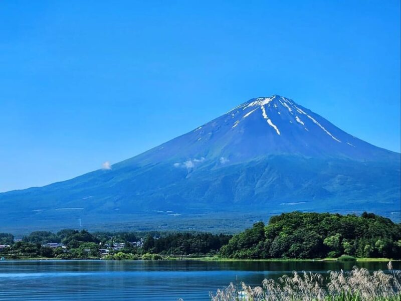 From Tokyo: Mt Fuji, 5th Station, & Hot Springs Day Trip - Key Points