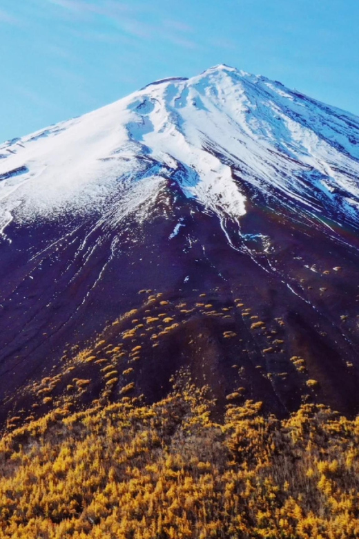 From Tokyo: Mt Fuji, 5th Station, & Hot Springs Day Trip - Exploring Oshino Hakkais Ponds and Dwellings