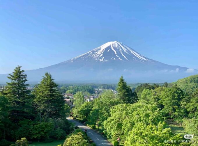 From Tokyo: Mt Fuji, 5th Station, & Hot Springs Day Trip - Relaxing in Konohana No Yu Hot Springs