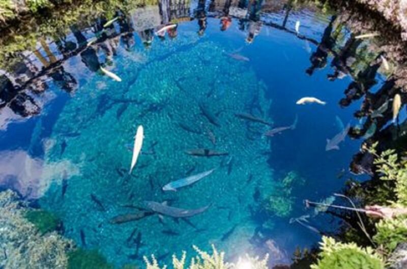 From Tokyo: Mt. Fuji 5th Station, Oshino Hakkai, Onsen Full-Day Trip - Arakurayama Sengen Park