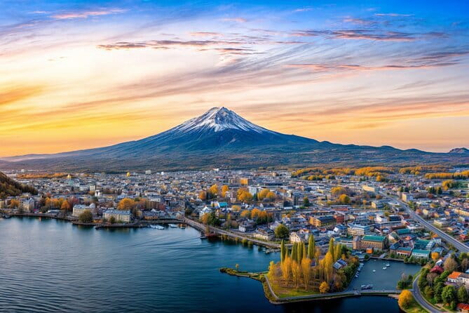 From Tokyo: Mt Fuji and Hakone Private Day Trip - Transportation Details